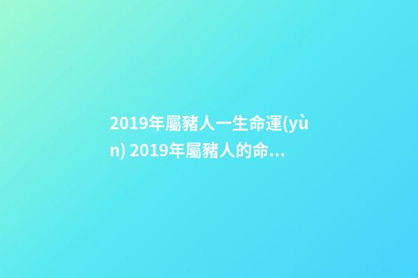 2019年屬豬人一生命運(yùn) 2019年屬豬人的命運(yùn)好不好 屬豬人2019年運(yùn)勢-第1張-觀點(diǎn)-玄機(jī)派